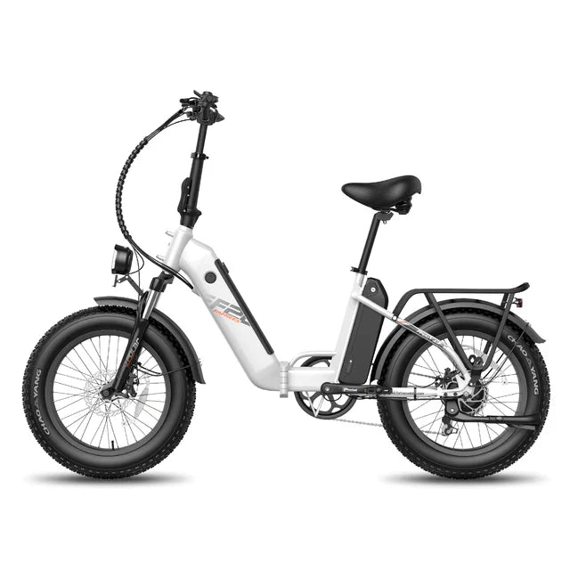 FAFREES F20 Polar Elektrofahrrad FAFREES F20 Polar Elektrofahrrad